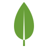 MongoDB Hosting
